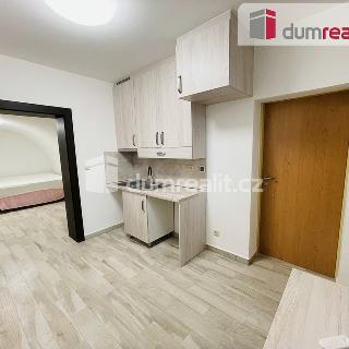 Pronájem bytu 1+1 30 m² Mikulov, Zámecká