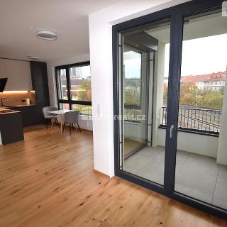 Pronájem bytu 1+kk a garsoniéry 40 m² Praha, Závišova