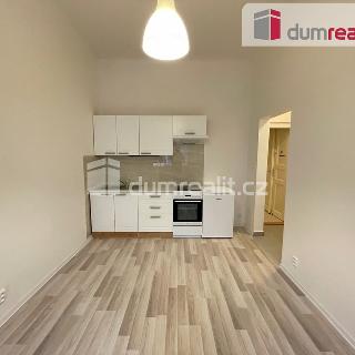 Pronájem bytu 1+kk a garsoniéry 22 m² Praha, Na Skalce