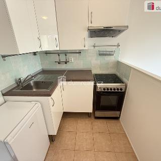 Pronájem bytu 1+kk a garsoniéry 27 m² Praha, Nad mlýnským potokem