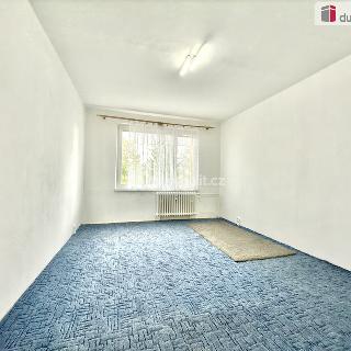 Pronájem bytu 2+1 58 m² Děčín, Slovanská