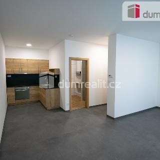 Pronájem bytu 1+kk a garsoniéry 32 m² Kolín, Obecní dvůr