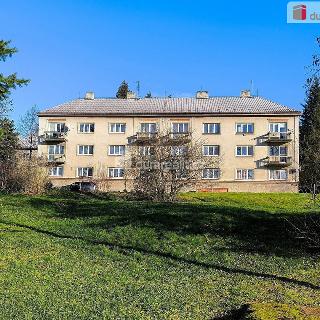 Prodej bytu 2+1 57 m² Plasy, Na Berličce