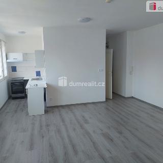 Pronájem bytu 1+kk a garsoniéry 37 m² Plzeň, Škroupova