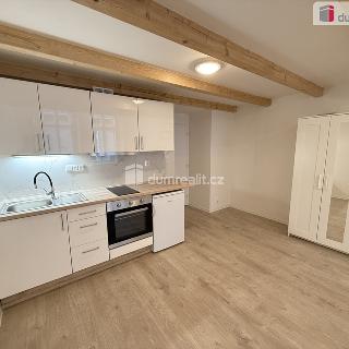 Pronájem bytu 1+kk a garsoniéry 48 m² Praha, Na Valentince