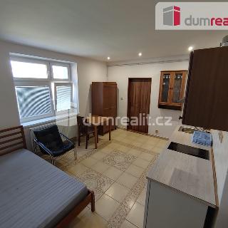 Pronájem bytu 1+kk a garsoniéry 28 m² Frenštát pod Radhoštěm, Dráhy