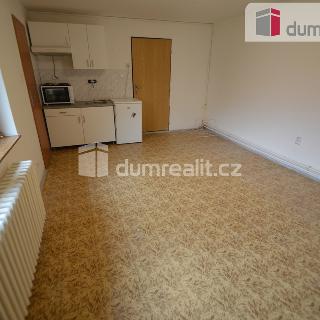 Pronájem bytu 1+kk a garsoniéry 26 m² Praha, Bolevecká