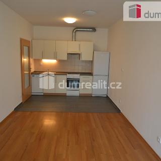 Pronájem bytu 2+kk 48 m² Praha, Přeučilova