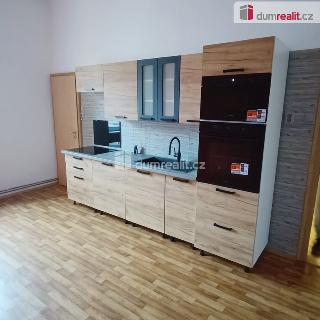 Pronájem bytu 2+1 69 m² Děčín, Jungmannova