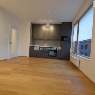 Pronájem bytu 2+kk 66 m² Praha, Pod Juliskou