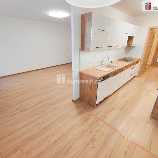 Pronájem bytu 3+kk 81 m² Praha