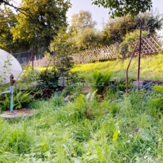 Prodej zahrady 355 m² Vítkov