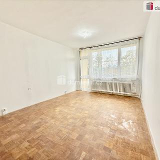 Pronájem bytu 2+1 58 m² Děčín, Slovanská