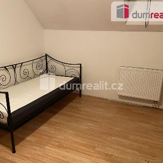 Pronájem bytu 1+kk a garsoniéry 15 m² Praha, Zenklova