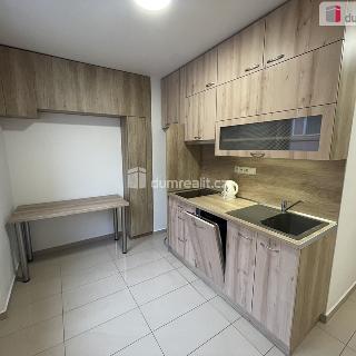 Pronájem bytu 2+1 53 m² Mikulov, Husova