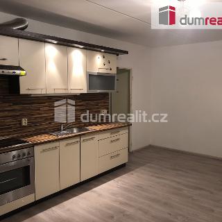 Pronájem bytu 1+kk a garsoniéry 33 m² Slaný, Na Dolíkách