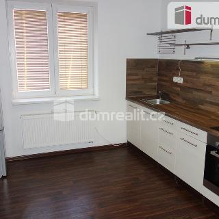 Pronájem bytu 1+1 45 m² Břeclav, Ostrov