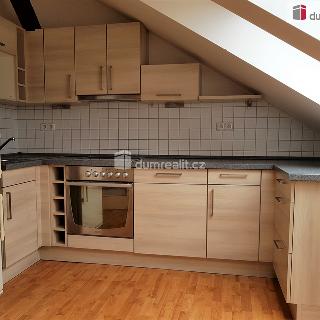 Pronájem bytu 1+1 44 m² České Budějovice, B. Smetany