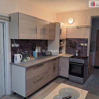 Pronájem bytu 2+1 45 m² Velké Bílovice, Svárov