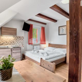 Prodej bytu 1+kk, garsoniery 19 m² Merklín