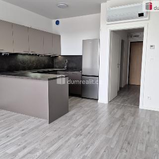 Pronájem bytu 1+kk a garsoniéry 32 m² České Budějovice, Vrbenská