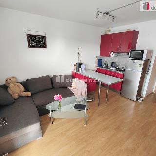 Pronájem bytu 2+kk 51 m² Praha, Jurkovičova