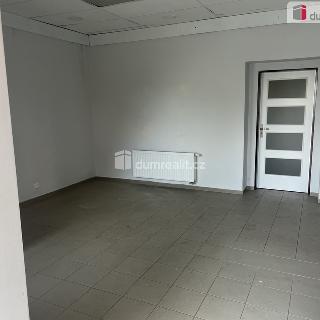 Pronájem obchodu 60 m² Praha, Gutova