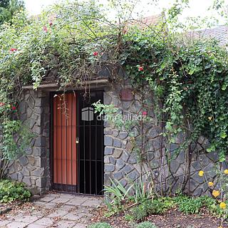 Pronájem vinného sklepa 60 m&sup2; Hovorany