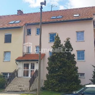 Prodej bytu 1+1 28 m² Čachovice, Struhy