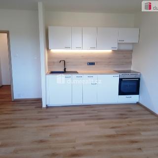 Pronájem bytu 2+kk 47 m² Ústí nad Labem, Žežická