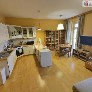 Pronájem bytu 1+kk a garsoniéry 45 m² Praha, Holandská