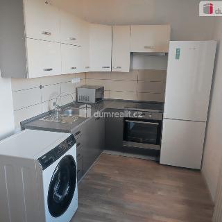 Pronájem bytu 3+kk 55 m² Roudnice nad Labem, Na Urbance