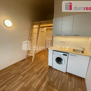 Pronájem bytu 1+kk a garsoniéry 20 m² Praha, Radlická