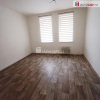 Pronájem bytu 1+1 36 m² Děčín II-Nové Město, Lipová