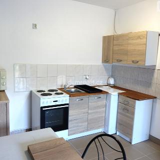 Pronájem bytu 1+kk a garsoniéry 30 m² Benešov, Radíkovice