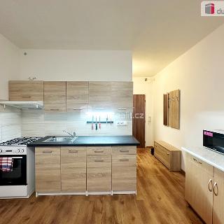 Pronájem bytu 1+1 36 m² Děčín, Jezdecká