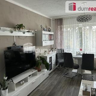 Prodej bytu 4+1 79 m² Vlašim, Obora