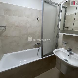 Pronájem bytu 2+1 53 m² Mikulov, Husova