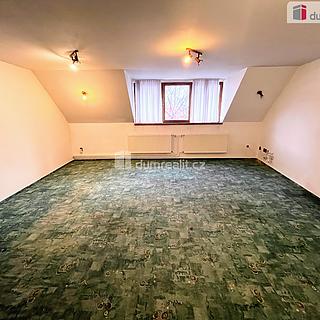 Pronájem hotelu, penzionu 250 m&sup2; Uherské Hradiště