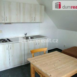 Pronájem bytu 1+kk, garsoniery 28 m² Liberec