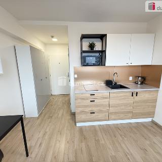 Pronájem bytu 1+kk a garsoniéry 20 m² Praha, Peroutkova