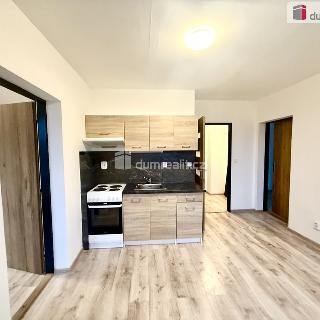 Pronájem bytu 2+1 57 m² Ústí nad Labem, Purkyňova