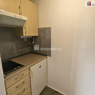 Pronájem bytu 1+kk a garsoniéry 24 m² Lovosice, Sady pionýrů