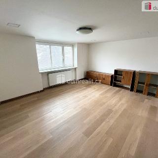 Pronájem bytu 2+1 59 m² Uherské Hradiště, Mánesova