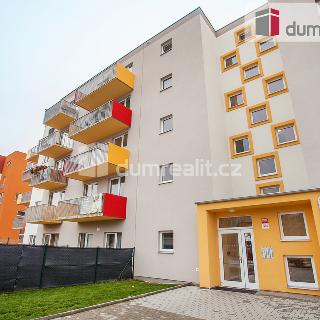 Prodej bytu 2+kk 58 m² České Budějovice, Husova tř.