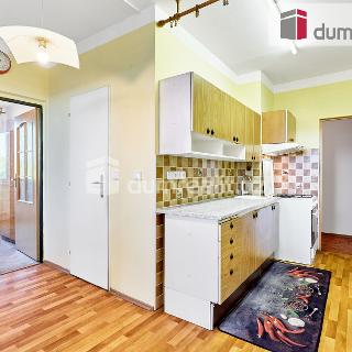 Prodej bytu 2+1 53 m² Karlovy Vary, Dvořákova