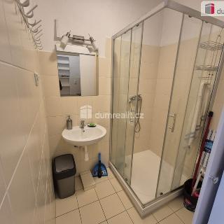 Pronájem bytu 1+kk a garsoniéry 32 m² Praha, Dlouhá