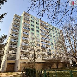 Prodej bytu 1+kk a garsoniéry 26 m² Mariánské Lázně, Havlíčkova