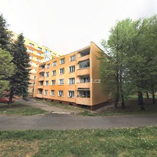 Pronájem bytu 1+1 39 m² Sokolov, Závodu míru