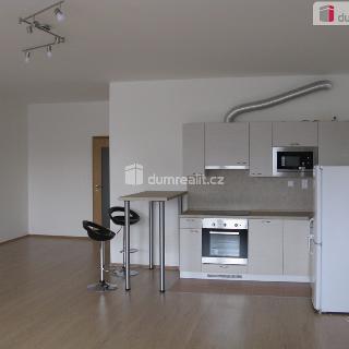 Pronájem bytu 1+kk a garsoniéry 50 m² Praha, Březenská